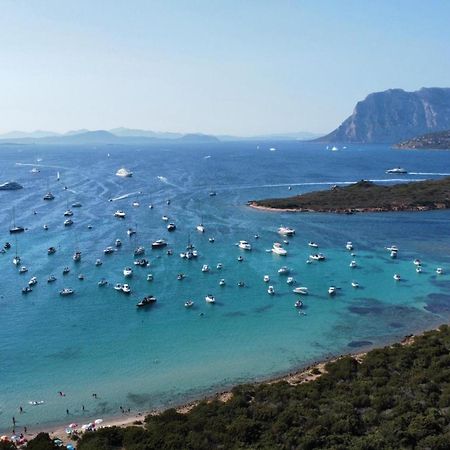 Case Vacanze Villa Rosita San Teodoro  Kültér fotó