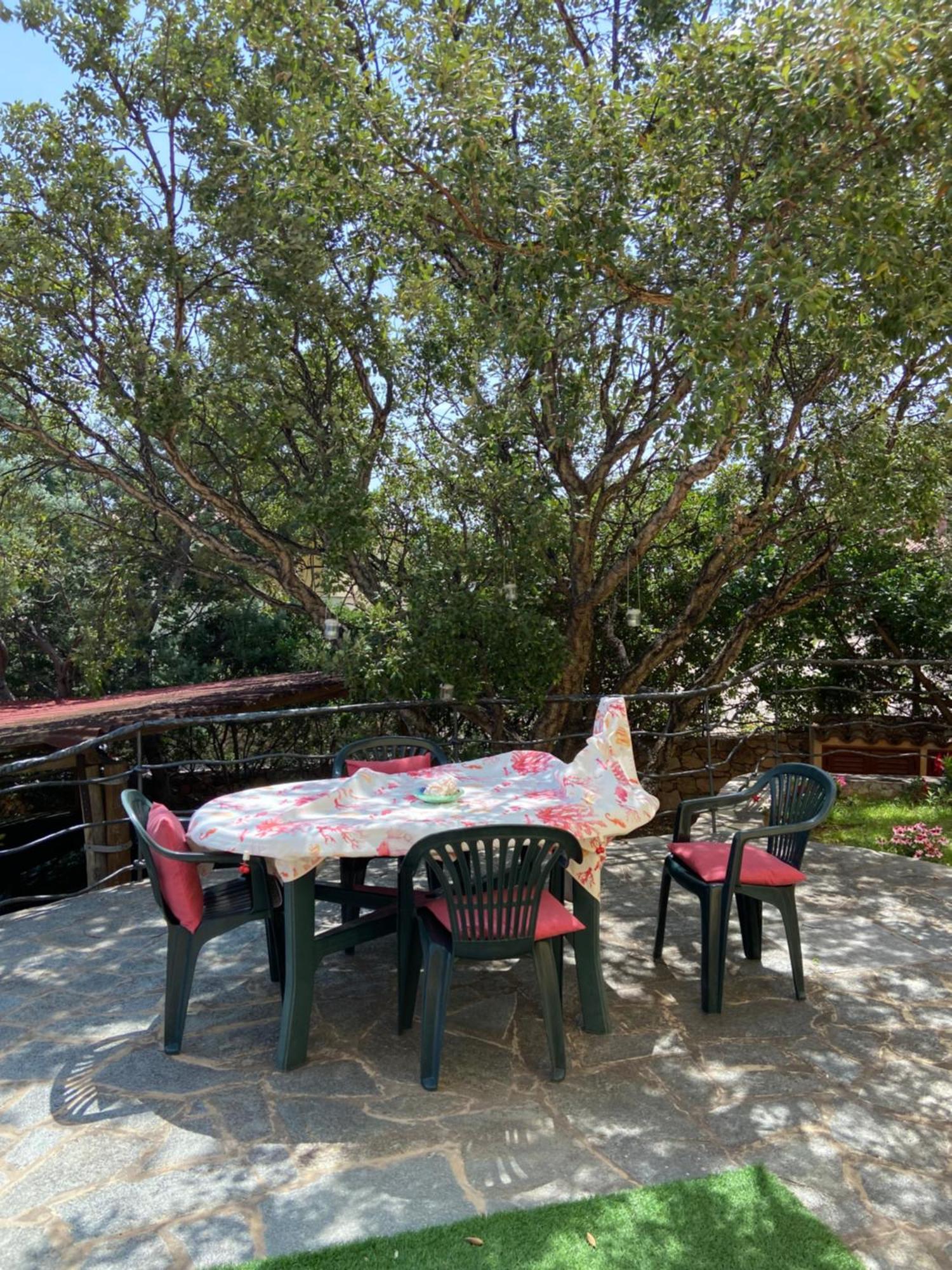 Case Vacanze Villa Rosita San Teodoro  Kültér fotó