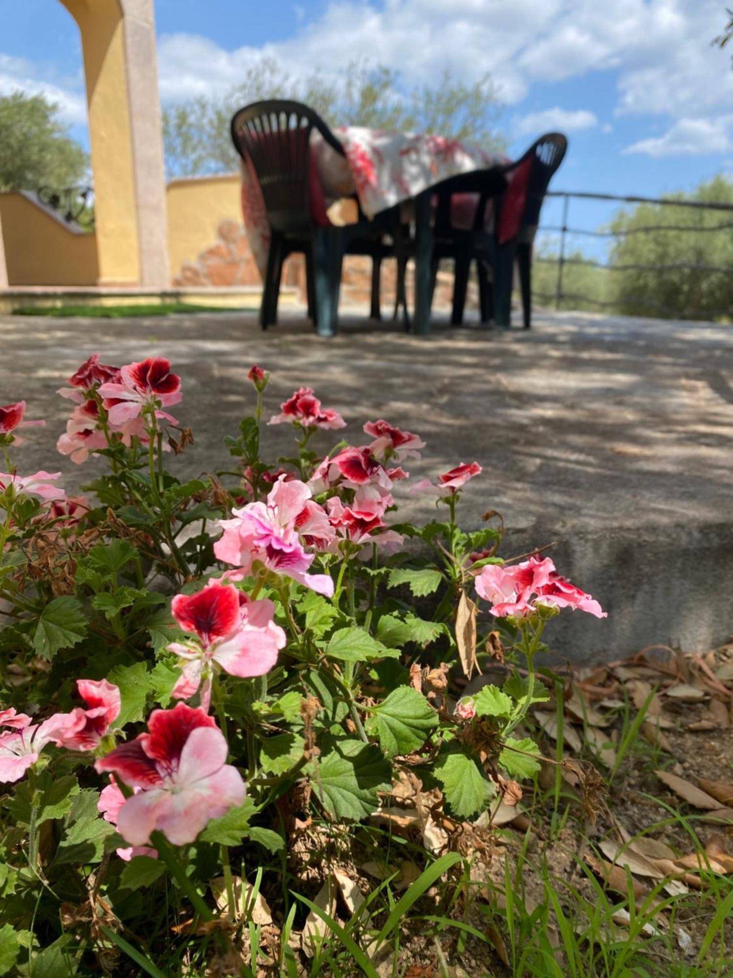 Case Vacanze Villa Rosita San Teodoro  Kültér fotó