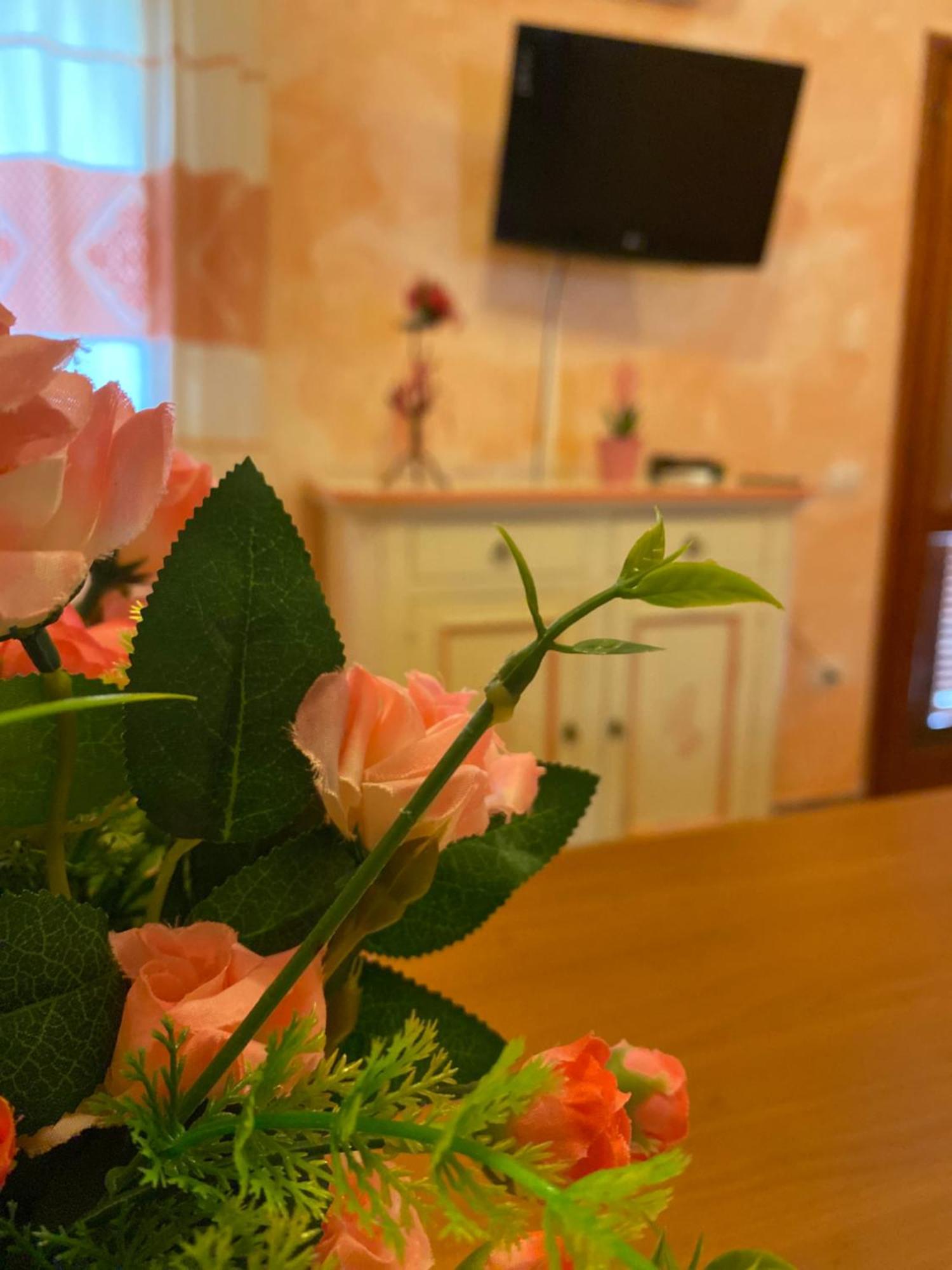 Case Vacanze Villa Rosita San Teodoro  Kültér fotó